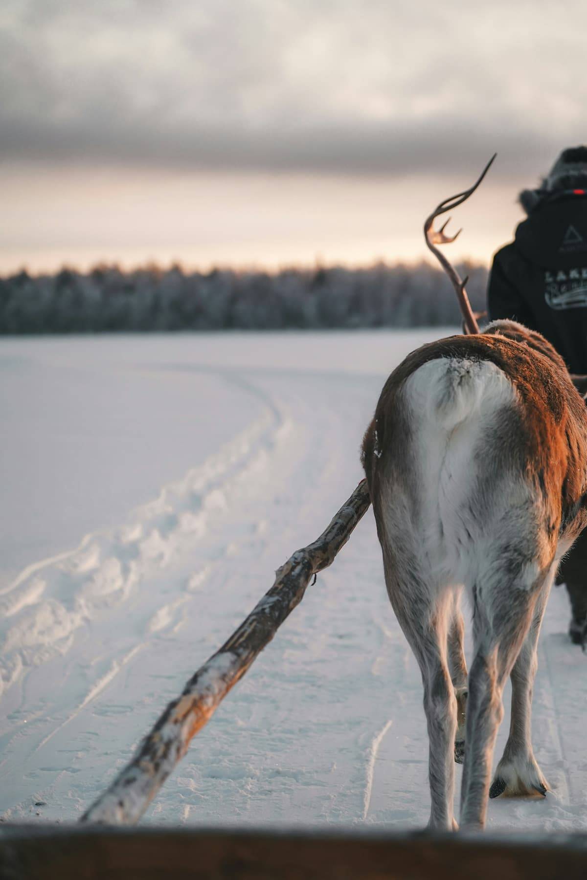 Kevin charit mano6nn19re unsplash%20(1)%20(1) - Attribut alt par défaut.